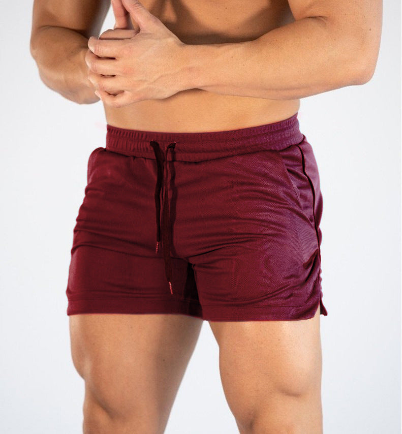 Fitted Mesh Panel Shorts
