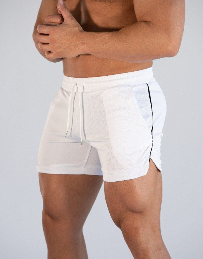 Fitted Mesh Panel Shorts