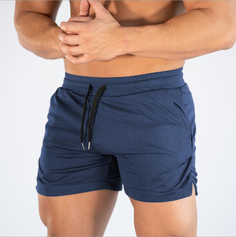 Fitted Mesh Panel Shorts